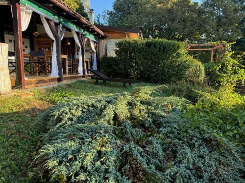 Radatovici House | Guest House Lagotto's Peak
