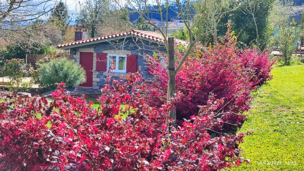Penafiel House | Guest House - Quinta da Giesteira quiet Country House with private outdoor spa in Penafiel, Oporto