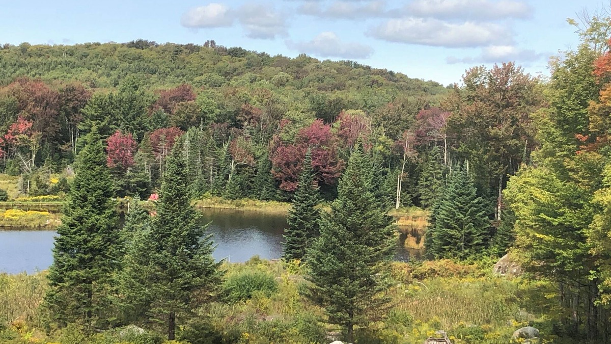 Bristol House | Guest House surrounded by national forest