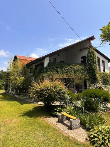 Grigoleti House | Guest house “Tamari’s”