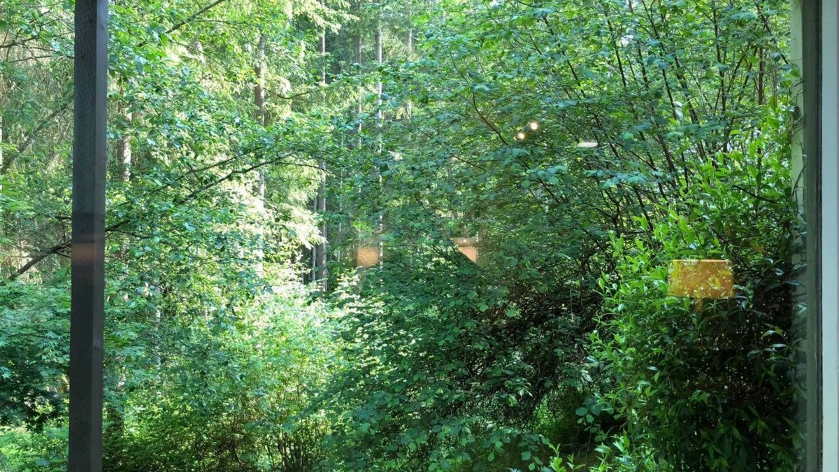 Gig Harbor House | Guest Suite (1,300+ sq. ft. /121 sq. m.)—Walk to Beach and Bridge