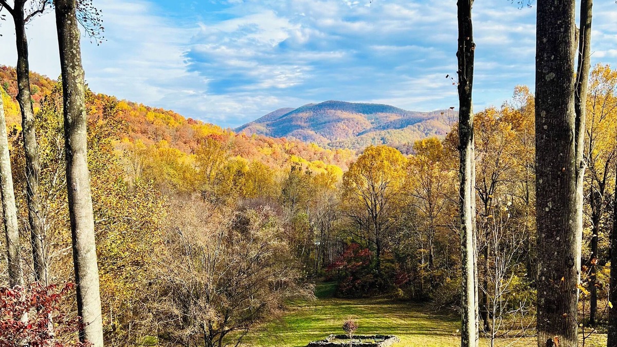Syria Cabin | ❤️Guest Suite - Stunning Views of Old Rag Mountain by Shenandoah National Park!