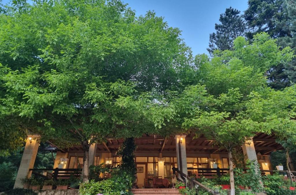 Llogara National Park House | Guesthouse Alberti Llogara