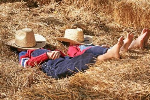 Glarus Sued House | Guesthouse -Die Älplersuite, im Ski und Wandergebiet