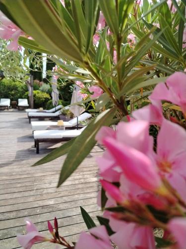 Cotignac Bed & Breakfast | Guesthouse Le Mas de Cotignac