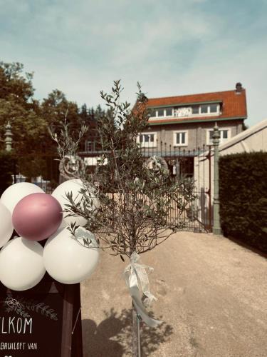 Stokrooie Bed & Breakfast | Guesthouse 't Goed Leven