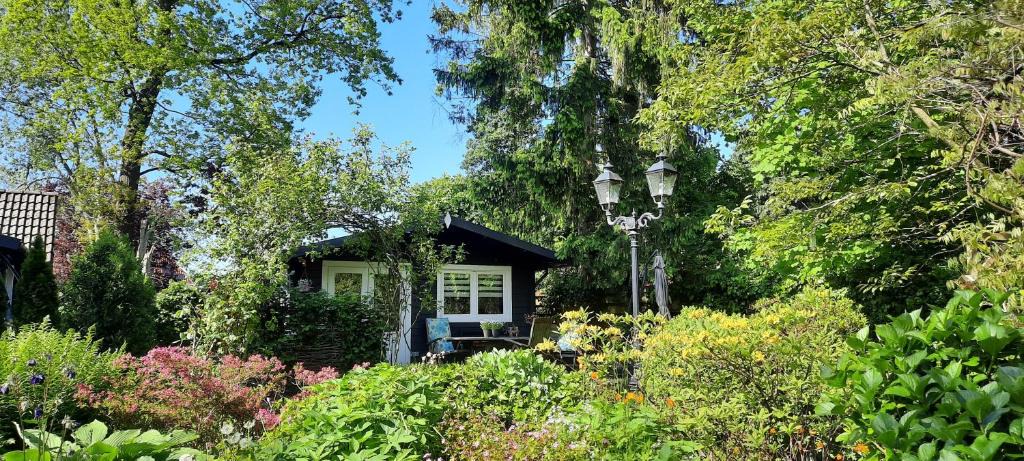 Zuidlaren House | GUESTHOUSE vakantiehuis in een mooie tuin in het centrum van Zuidlaren!