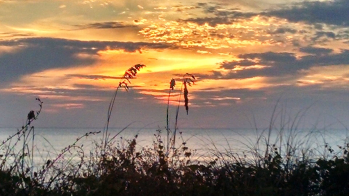 Port St. Joe House | GULF FRONT 3 BR/3.5 bth townhome, steps to the beach! Dogs OK