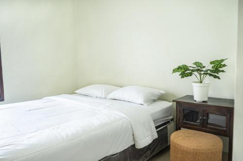 Buleleng House | Gumitish Guest House Singaraja