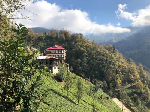 Ayder Apartment | Gunguli Pansiyon