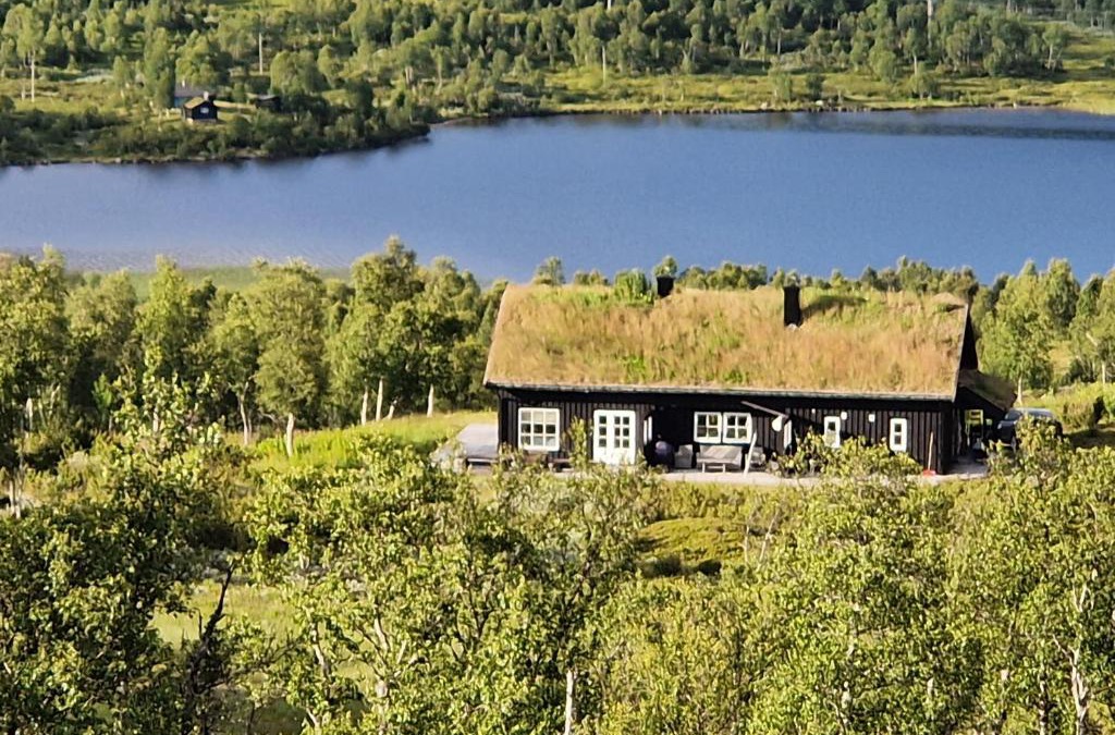 Vinje House | Guroli - Mountain Lodge