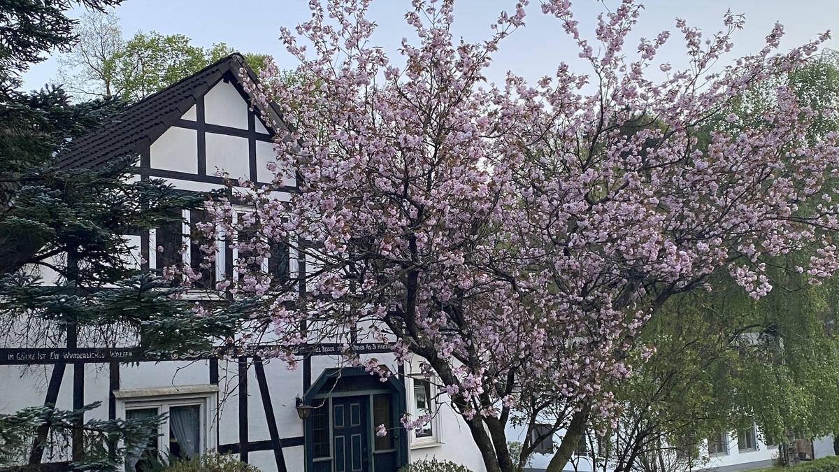 Kickenbach House | Gut Vasbach