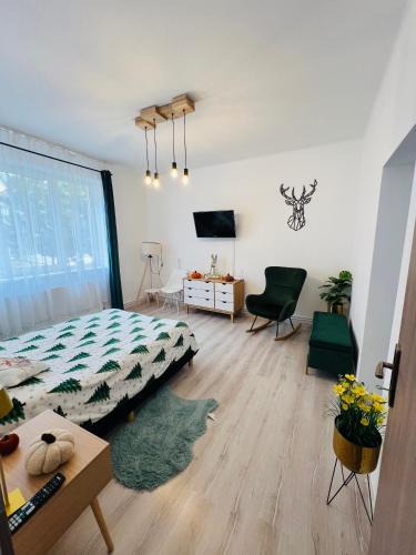 Balan Apartment | Hășmaș Peak Escape