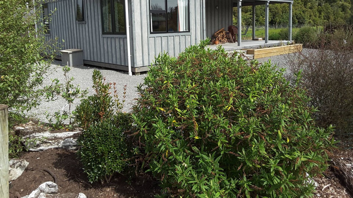 Haast Cabin | Haast Hideaway - Solar and Wind Powered Lodge