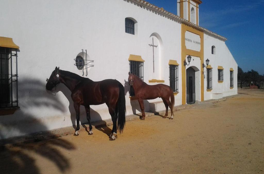 Utrera House | Hacienda La Indiana