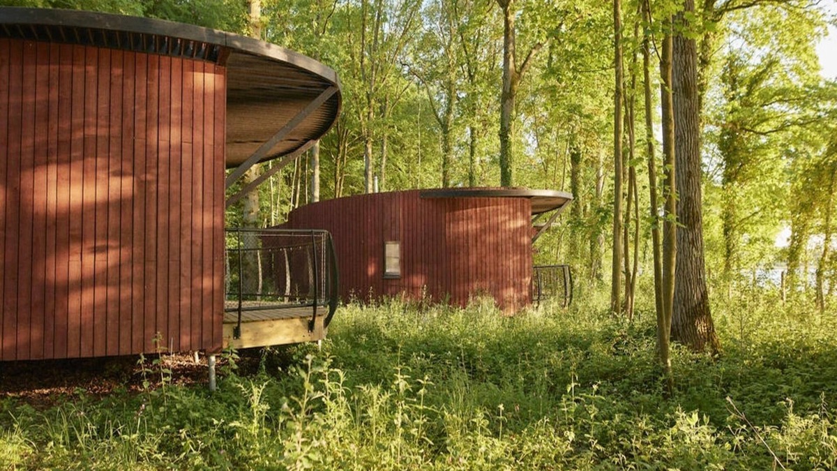 Maubray House | Hainaut Forest Retreat