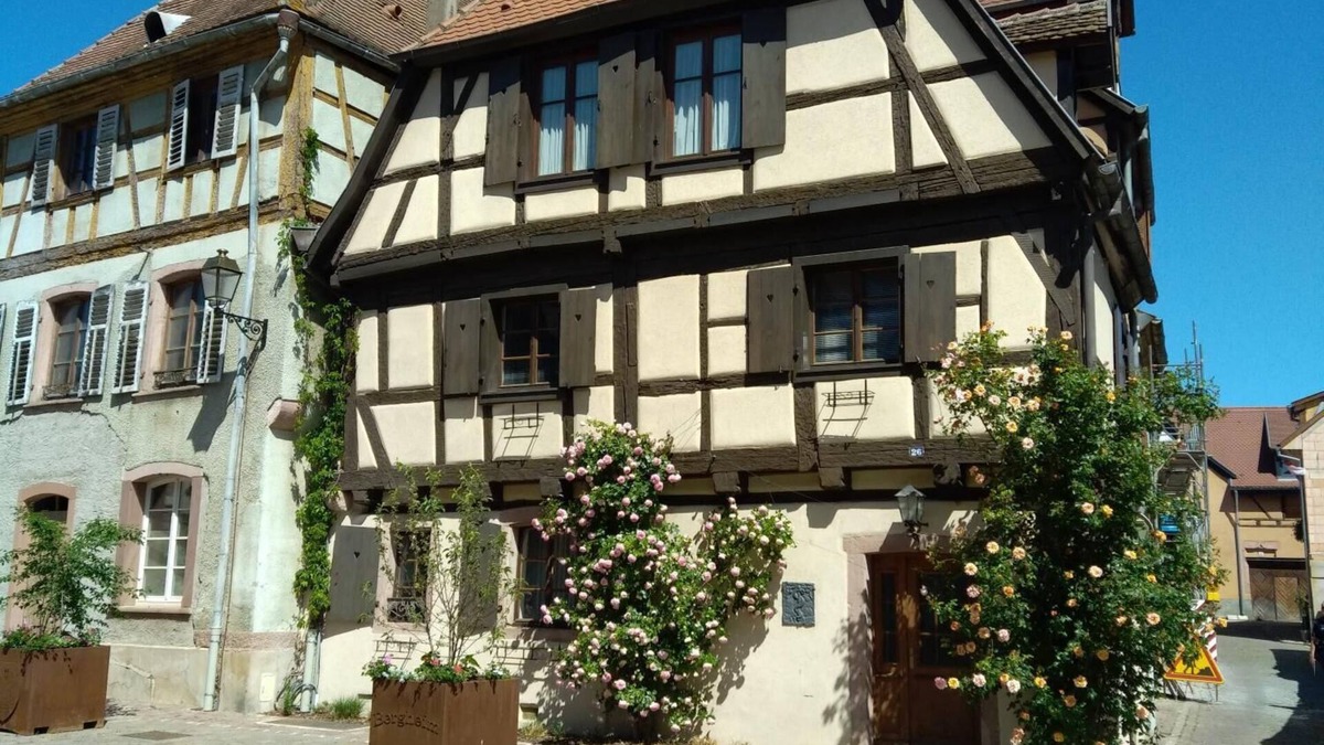 Bergheim House | Half-timbered house of the 17th Century in the center of Bergheim, in the heart of the