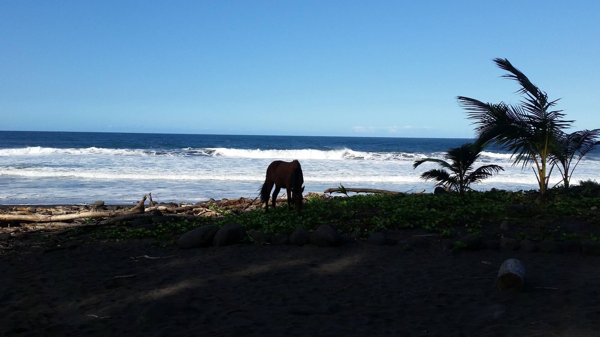Ninole House | Hamakua Pukana La Hale 3 Bedroom Home by RedAwning