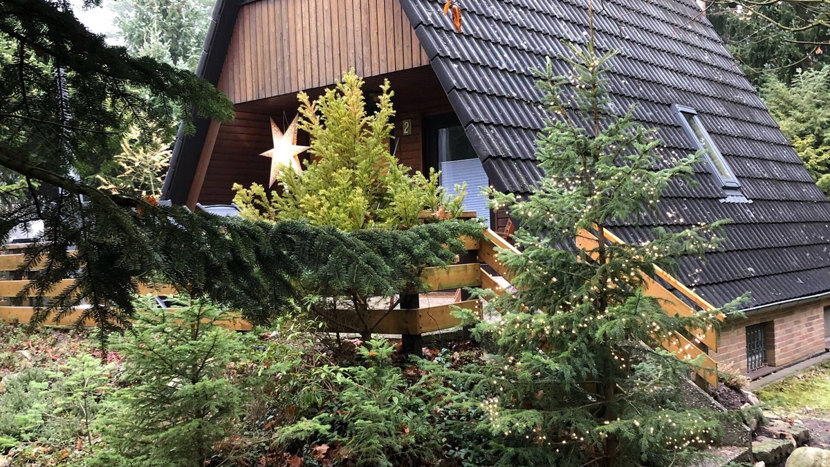 Ovelgoenne Cabin | Hambühren Celle Fairytale forest house Drosselbart Roof-only house Sauna Forest edge Wallbox