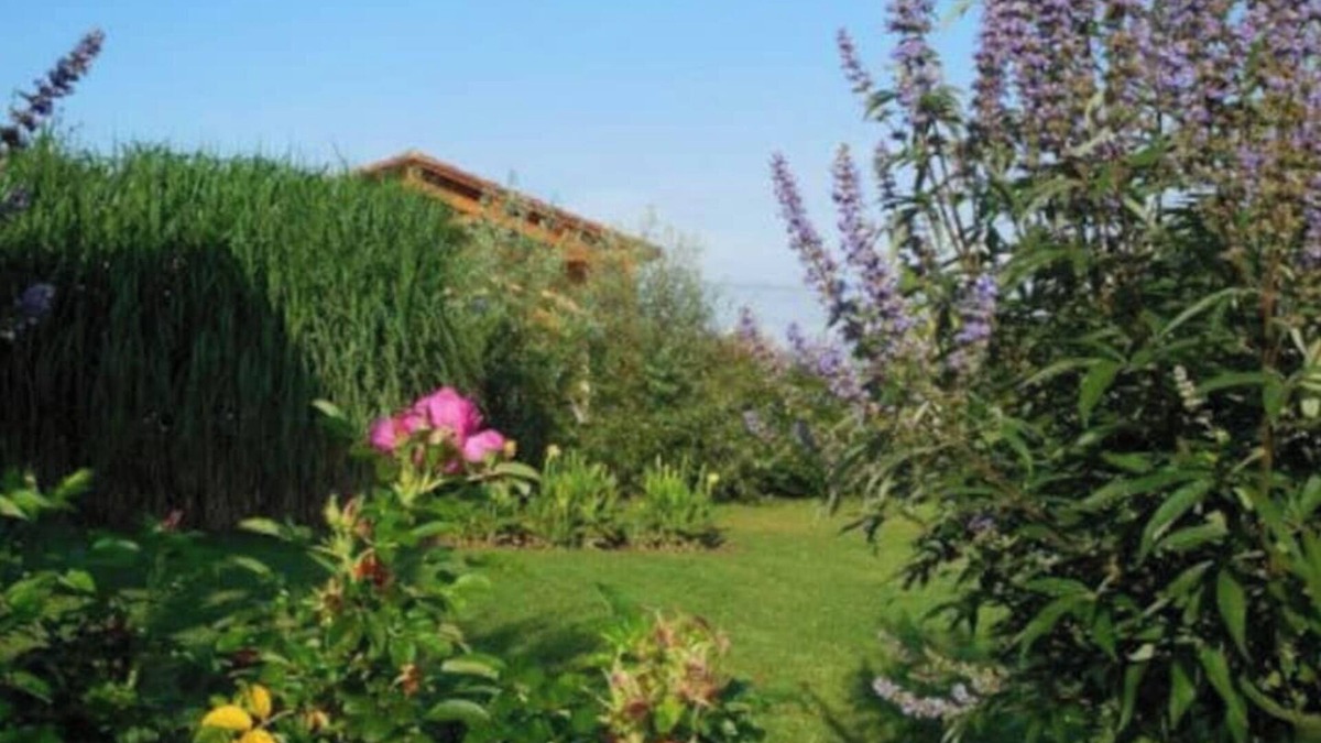 Montferrand-du-Perigord House | Hameau des champs gite N°2