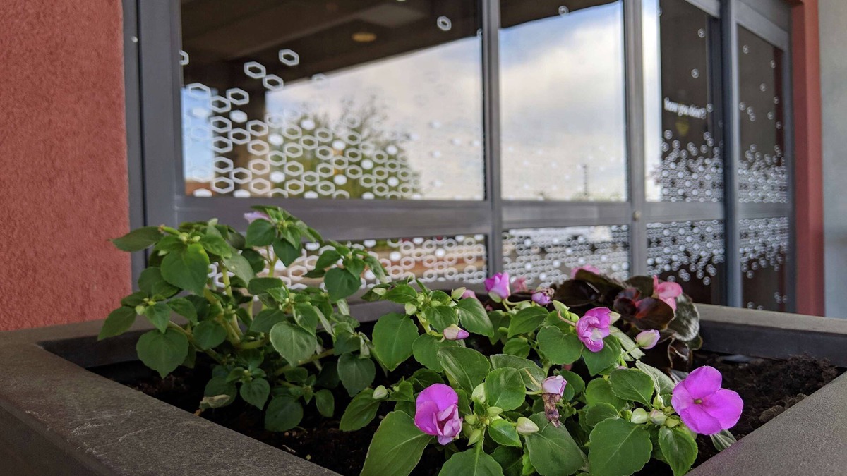 West Chester Hotel | Hampton Inn & Suites Cincinnati-Union Center