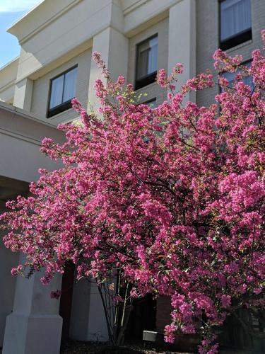 West Chester Hotel | Hampton Inn & Suites Cincinnati-Union Centre