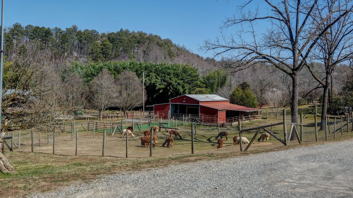 Murphy Cabin | Handicap Accessible Log cabin 20ft off Cobb Creek - Historic Cobb Estate Cir1861