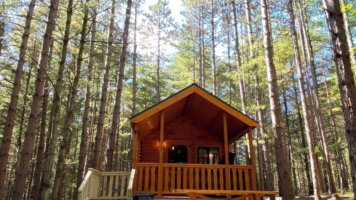 Leeper Cabin | Happy Bear Log Cabin near Cook Forest State Park