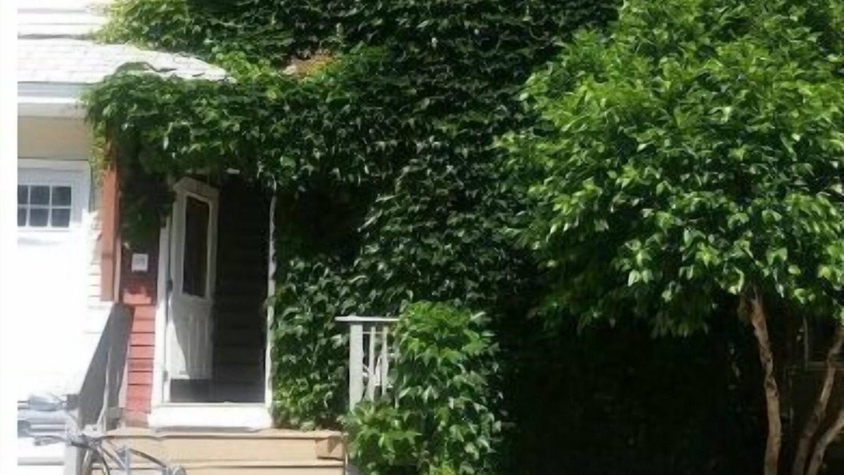 Allston Apartment | Happy Green House ,Boston Landing, BU, BC, Harvard and MIT