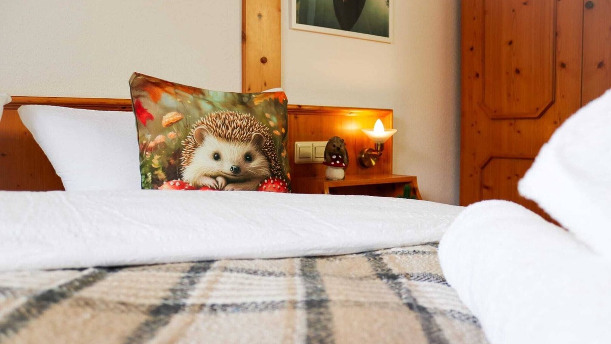 Schluchsee Bed & Breakfast | "Happy Hedgehog" in the House of Happiness by apartmentglück - Loving guest house