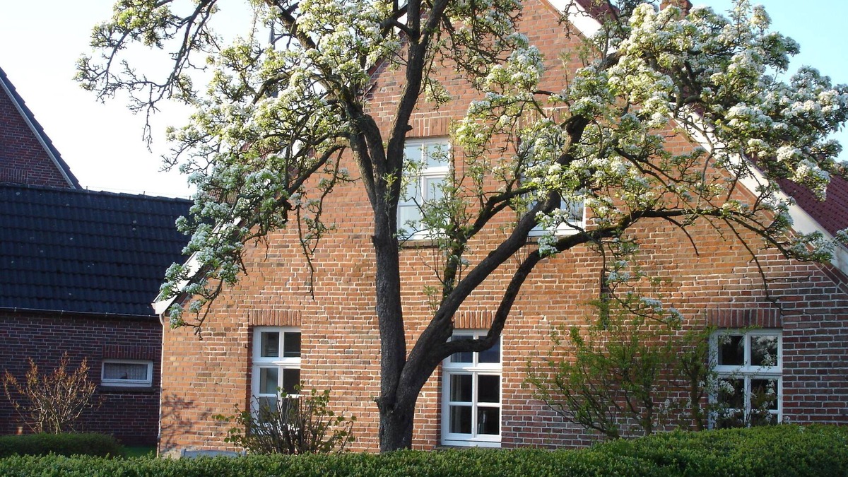 Rysum Cottage | Happy holidays in restored Bauernkate