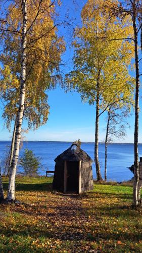 Harju County Other | Hara Sadama iglukämping