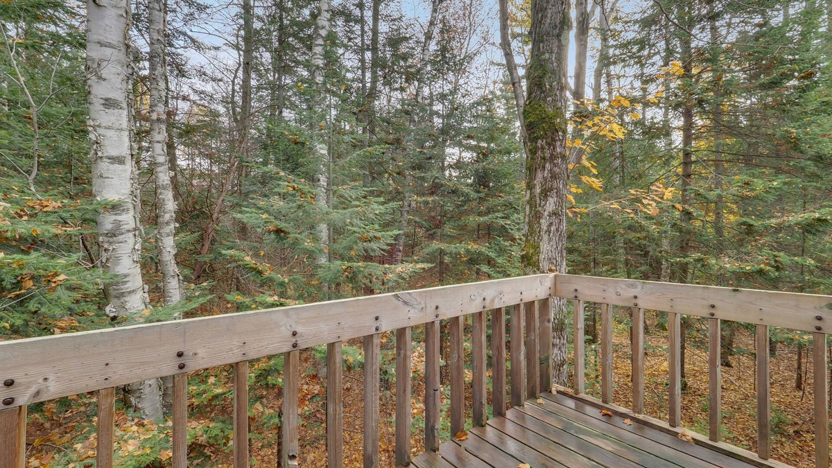 Harbor Springs Condo | Harbor Cove Condo Near Ski Resorts