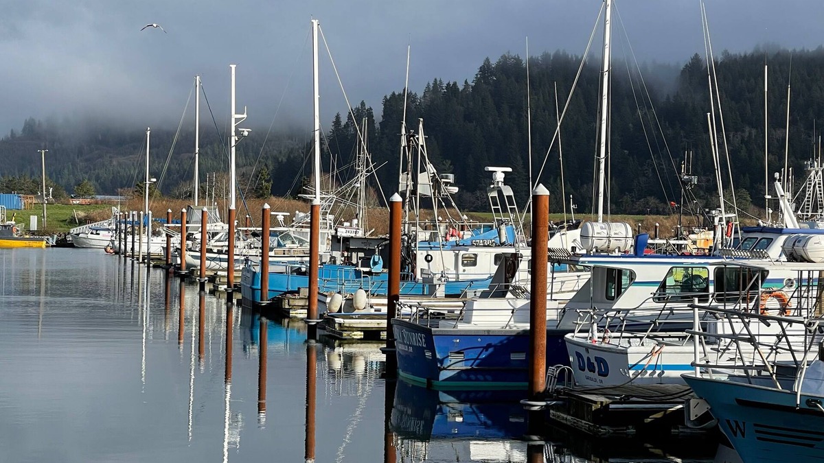 Garibaldi Hotel | Harborview Inn & RV Park