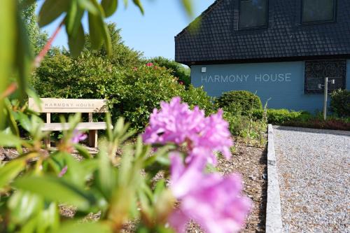 Handewitt Villa | Harmony House