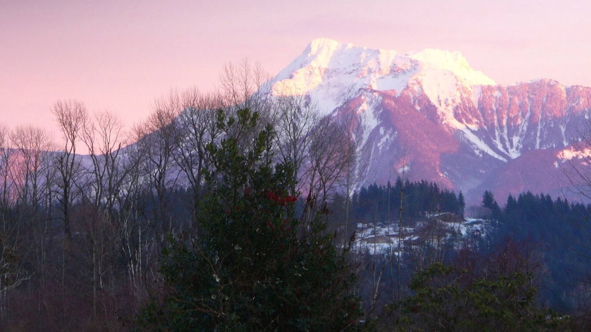 Harrison Mills Bed & Breakfast | Harrison Hammond House Farmstay