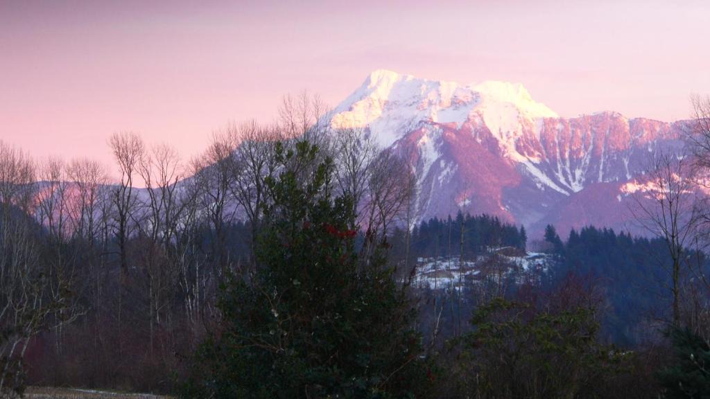 Harrison Mills Bed & Breakfast | Harrison Hammond House Farmstay