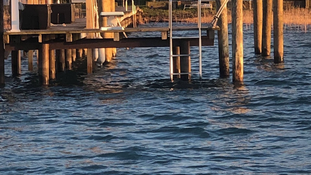 Harsens Island House | Harsens Island Waterfront Lodge on DOUBLE Lot & Dockage, swimming, and parking