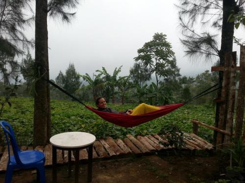 Wonosobo House | Harumi Dieng