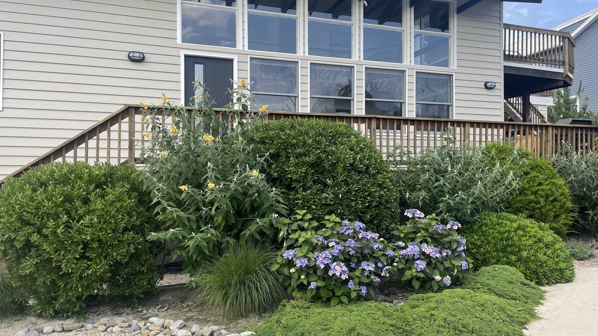 Harvey Cedars House | Harvey Cedars 4 Bedroom 2 full bath Ocean Block with Water Views