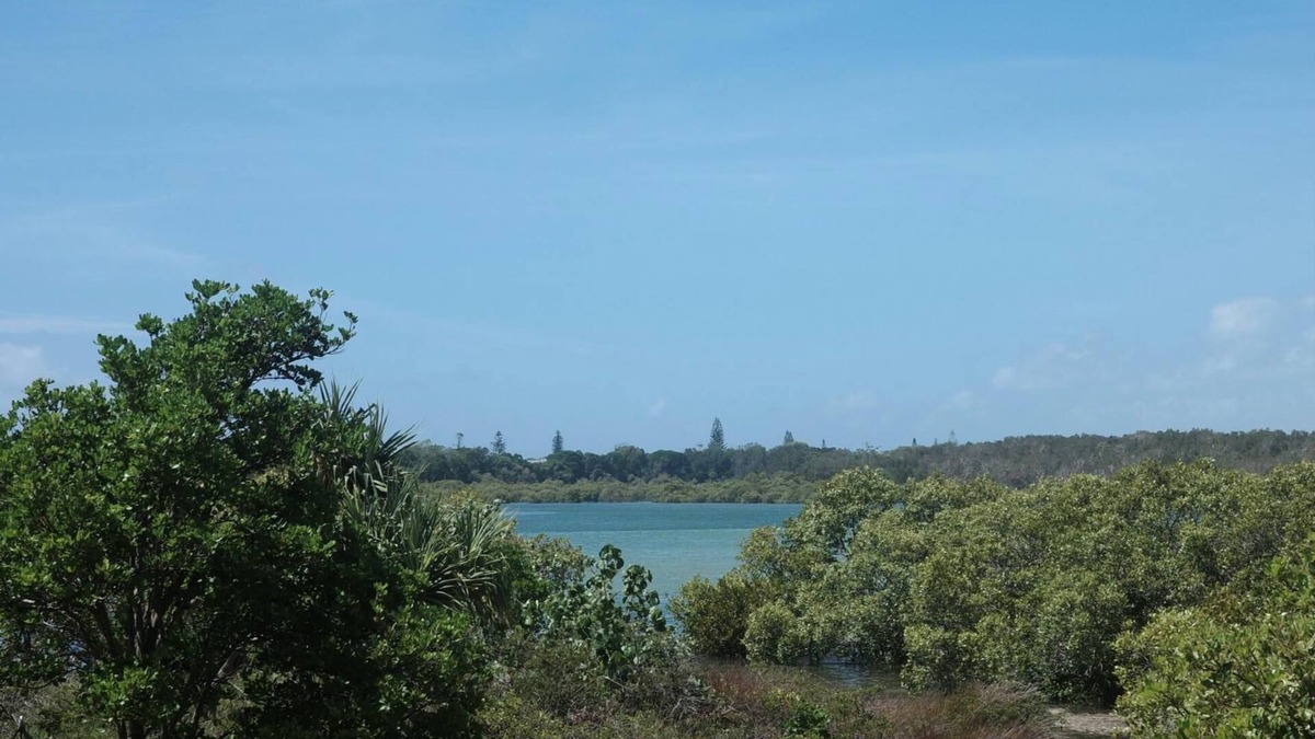 Hastings Point Apartment | Hastings Cove 2 Bedroom Estuary Apartment!