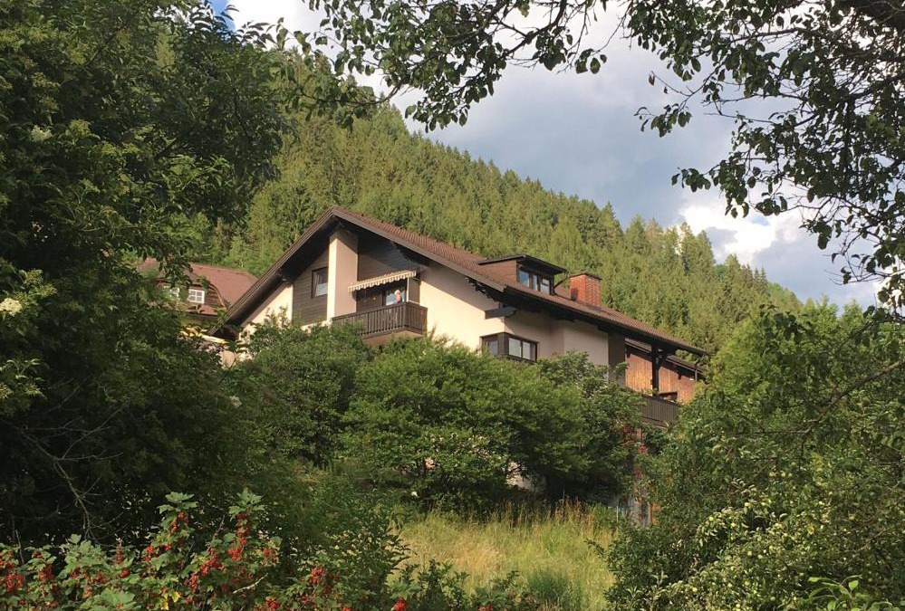 Murau Apartment | Haus Agnes, Murau