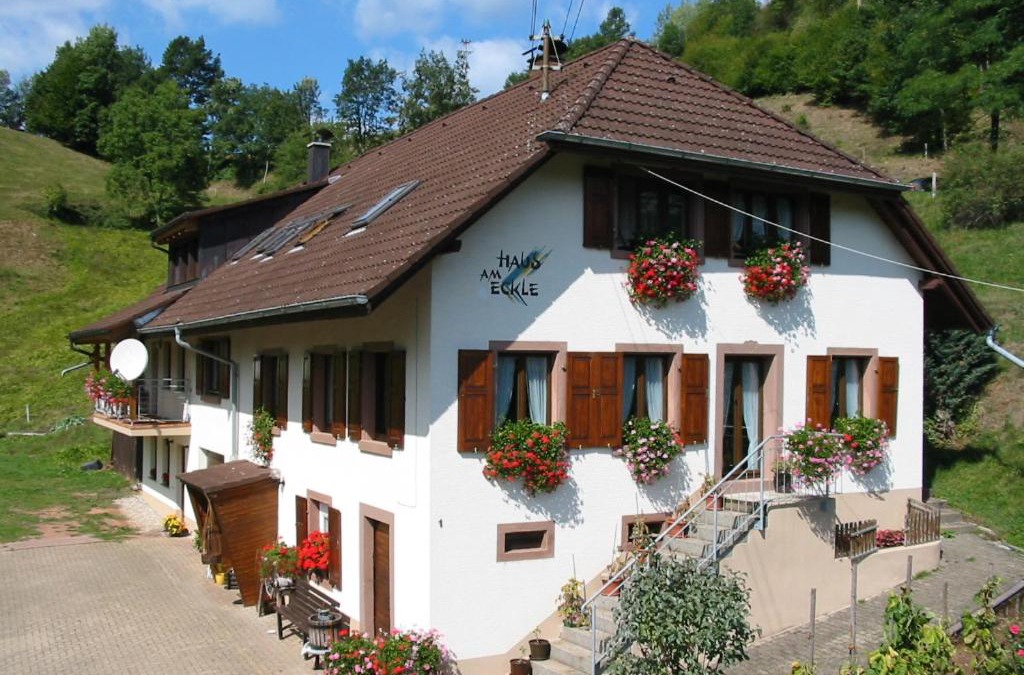 Kleines Wiesental Apartment | Haus am Eckle