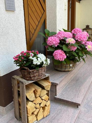 Dorrenbach House | Haus am Kastanienwald