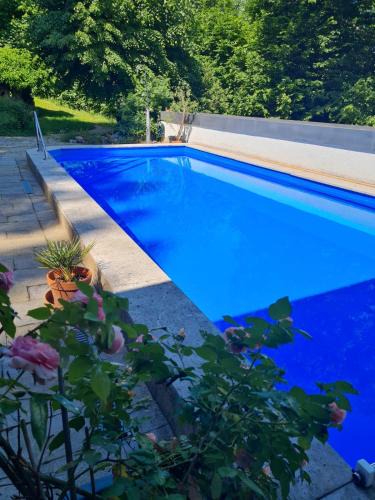 Eltmann House | Haus am Wald
