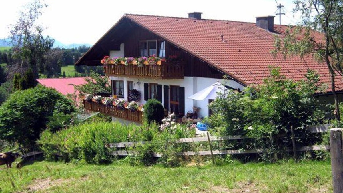Oy-Mittelberg Apartment | Haus Bergblick - One-storey apartment with a south-facing terrace