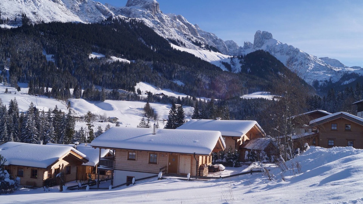 Annaberg im Lammertal House | Haus Boris, pets allowed, on the slopes, mountains, modern furnishings