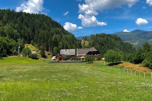 Bodendorf House | Haus Edlinger inclusive Murau Sommer Gäste Card