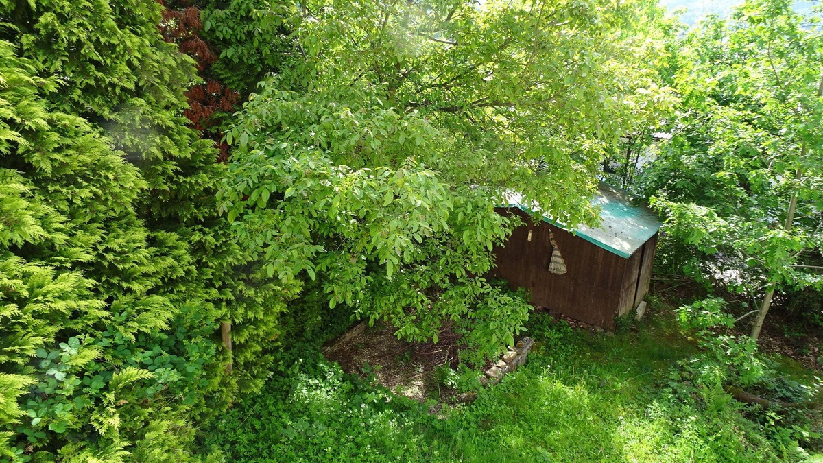 Wilhelmsfeld House | Haus Fermate