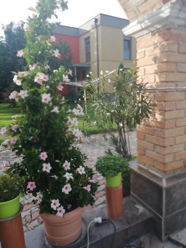Loosdorf Apartment | Haus Maria